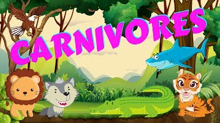 Carnivores  Types of Animals  Science for Kids [upl. by Norad]