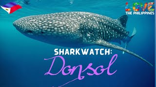 Paradise Philippines WHALESHARK Butanding in DONSOL Sorsogon  Bicol Attraction  Whale Shark [upl. by Phelgen]