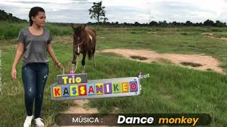 Trio kassanikeo amp Brisa Star  Dance Monkey [upl. by Esorylime87]