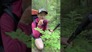 Poisonous plants to watch out for on the trail backpacking poison edibleplants [upl. by Hau941]