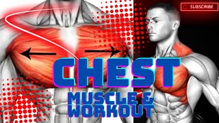 BASIC KNOWLEDGE CHEST MUSCLE amp CHEST WORKOUT  FITNESS MANTRA [upl. by Ielak498]