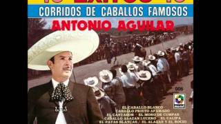 Antonio Aguilar Caballo Prieto Azabachewmv [upl. by Clintock]