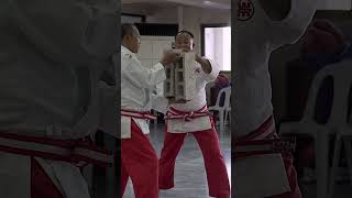 Filipino Kuntaw Martial Arts Master Breaking Concrete Blocks [upl. by Atiz153]