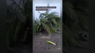 Severely damaged buildings and fallen trees are seen in the aftermath of Super Typhoon PepitoPH [upl. by Noram]