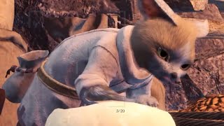 Monster Hunter World Iceborne  Beautiful Details in Seliana Canteen [upl. by Belcher197]