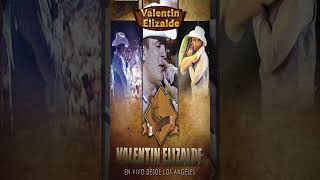 Valentín Elizalde  Clave Privada En Vivo shorts corridos musica valentínelizalde mexicano [upl. by Eecart]