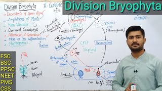 92 Bryophytes  Life cycle of Bryophytes  Alternation of generation  Fsc MDCAT NEET Ppsc and CSS [upl. by Fisher]