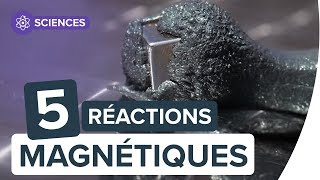 Magnétisme 5 réactions étonnantes avec des aimants  Futura [upl. by Amaris]