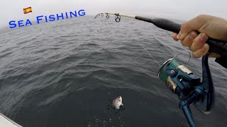 Sea Fishing in Fisterra Spain  Fishing During Lockdown [upl. by Bigelow]