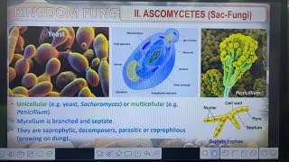 Biological classification Type of Fungi Basidiomycetes Deuteromycetes amp Phycomycetes [upl. by Albemarle778]