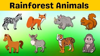 Rainforest Animals  Animals Name In English  wild Animals  rainforestanimals animalsname [upl. by Helyn]