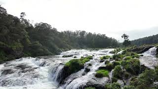 beauty of pykara waterfall😍 [upl. by Aizirtap]