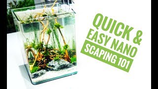 HOW TO SCAPE a Dennerle 10 litre NANO AQUARIUM [upl. by Jamal]