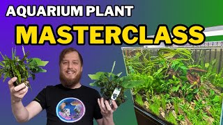 Be successful start your aquarium plants right All the things you should do to prep your plants [upl. by Sirahc]