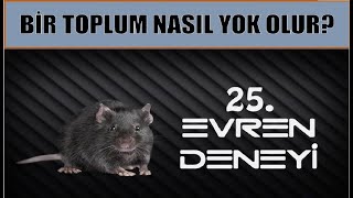 25 EVREN DENEYİ [upl. by Swift]