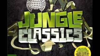 21 Krome amp Time  The License Jungle Classics [upl. by Berri]