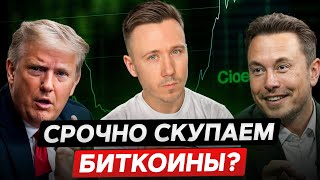 Дикая бычка на рынке США скупают биткоины Криптовалюты для новичков [upl. by Goulet]