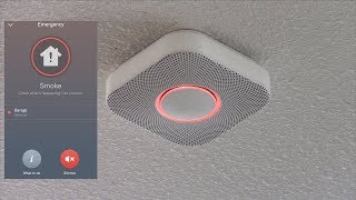 Testing the Nest Protect Smoke Alarm with Fire [upl. by Ziladnerb65]