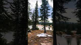 Elk season colorado elk hiking mountains fyp coloradotown atv [upl. by Ahcmis544]