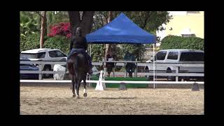 Western Dressage Intro Test 4 [upl. by Ettezyl68]