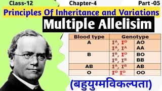 Multiple Alleles  Class 12 Genetics  Principle of Inheritance and Variation [upl. by Anuahsat877]