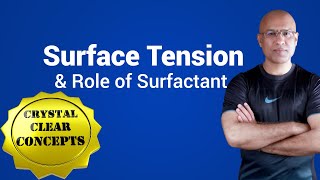 Surface Tension amp Role of Surfactant [upl. by Viehmann382]