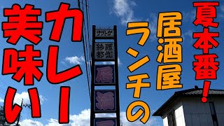 【栃木グルメ】紗羅都伽（サラトガ）で、カツカレーとねぎざるつけ麵を食す【飯動画】【栃木県宇都宮市】 [upl. by Horton]