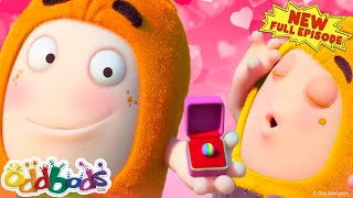 ODDBODS  Apple Of My Eye  NEW Full Episode  Cartoons For Children [upl. by Llyrad]