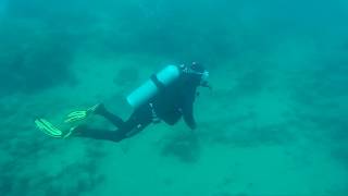 Diving at Koversada 16062018 Part 1 [upl. by Giule]