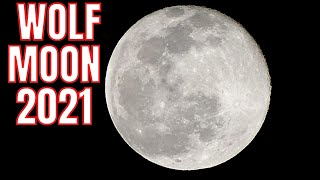 WOLF MOON JANUARY 2021 [upl. by Sachsse]