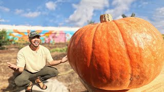 I Tried Growing a Giant Pumpkin Using a Chicken [upl. by Cupo622]