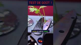 🥕 Test de goût  Feuillage de carotte en hydroponie [upl. by Oremor]