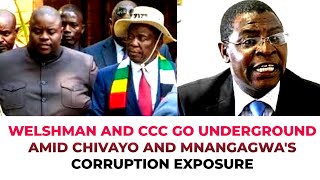 WELSHMAN AND CCC GO UNDERGROUND AMID CHIVAYOMNANGAGWA CORRUPTION EXPOSURES [upl. by Neuburger306]