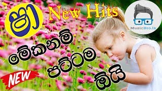 2019 New Hits sinhala Song  Dj Remix  NEW LOVE SONG SINHALA 2019 [upl. by Kiefer]