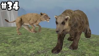 Wild Animals Online  Bear Group Battle AndroidiOS  Gameplay Episode 34 [upl. by Girish]