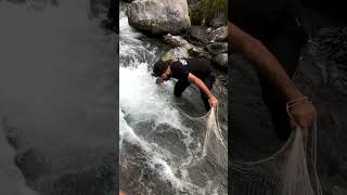 Net Fishing in Crowded Stream  Unexpected No Catch in Fast Water Adventure fishing ytshorts [upl. by Mendie]