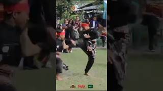 Day 1 of the 4th Pencak Silat Martial Arts amp Cultural Festival in Yogyakarta Java Indonesia 🇮🇩 [upl. by Bravin104]