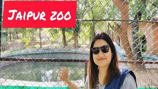 Jaipur Zoo  Zoo in Jaipur Pink city  Jaipur  Rajasthan [upl. by Ornie946]