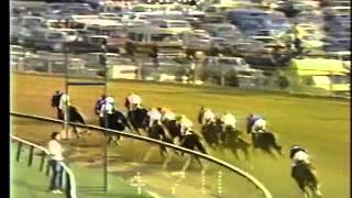 110th Preakness Stakes  May 18 1985 [upl. by Akkim853]