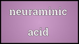 Neuraminic acid Meaning [upl. by Perl276]