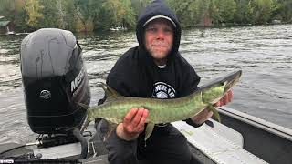 KAWARTHA LAKES FALL MUSKY [upl. by Ekihc780]