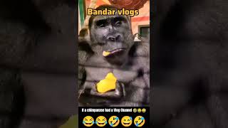 If a chimpanzee had a YouTube Vlog Channel 😅😂🤣 meme funny comedy funnydub dub hindidub djain [upl. by Amiarom]