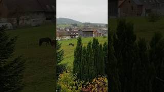 The view from above when day broke Village Switzerland suisse travel nature village [upl. by Oeramed]