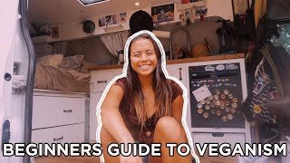 a beginners guide to veganism [upl. by Landmeier]