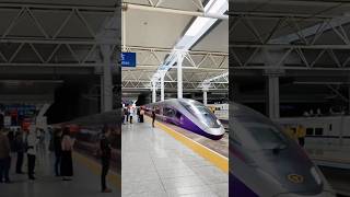 Hefei south railway station 🚉 Have you ever taken the purple Fuxing high speed rail🚅💙📸🇨🇳 [upl. by Piselli]