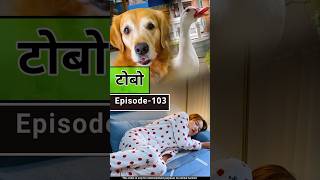 🐕 टोबो और मम्मा की बतख 🦢 [upl. by Yahs]