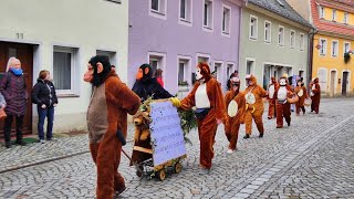 Fastnachtsumzug Bad Schandau 2024 4k [upl. by Leidag82]