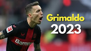 Alejandro Grimaldo  Skills and Goals 2023 Bayer Leverkusen [upl. by Sherman361]