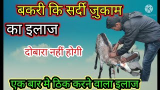 Bakri ki sardi ki khurakबकरी के सर्दी ज़ुकाम का इलाज [upl. by Rives]