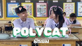 POLYCATมัธยม  MV เพื่อการศึกษา [upl. by Noyr]